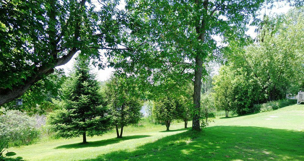 Motel Des Deux Lacs Waterloo Экстерьер фото